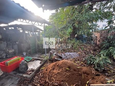 屏東萬丹188坪建地房屋室內格局與周邊環境