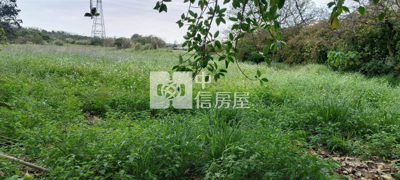 【安家】大園西濱北港路農地(一般農)房屋室內格局與周邊環境