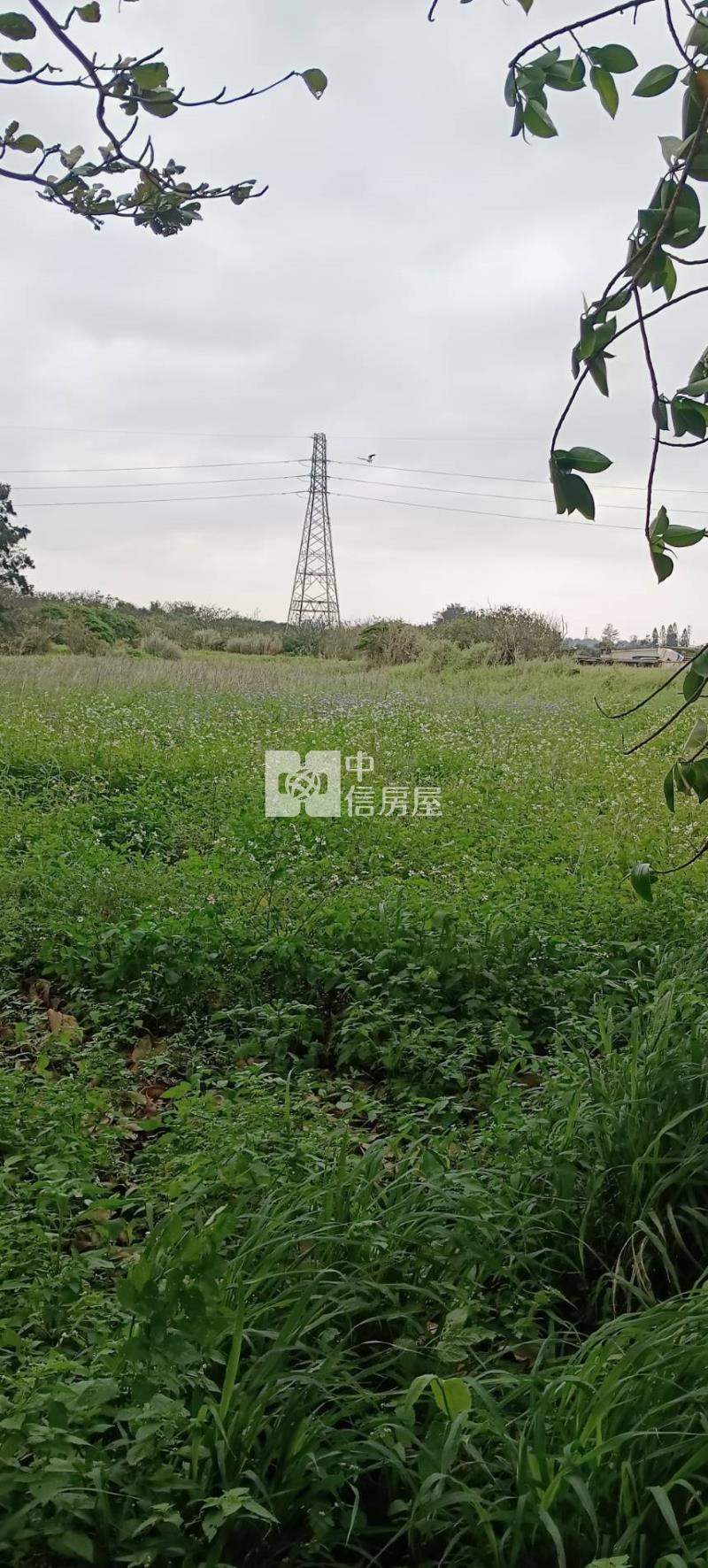 【安家】大園西濱北港路農地(一般農)房屋室內格局與周邊環境