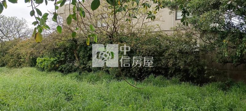 【安家】大園西濱北港路農地(一般農)房屋室內格局與周邊環境