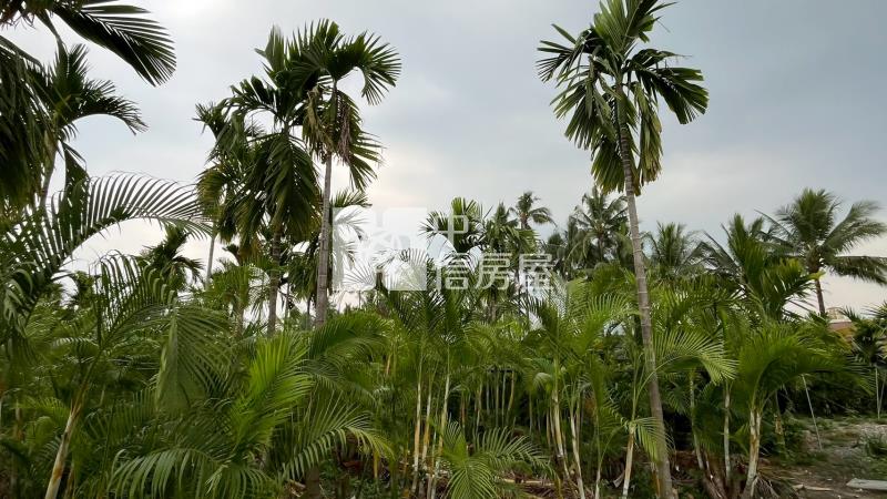 鹽埔仕絨段8米路旁方正農地*專約*房屋室內格局與周邊環境