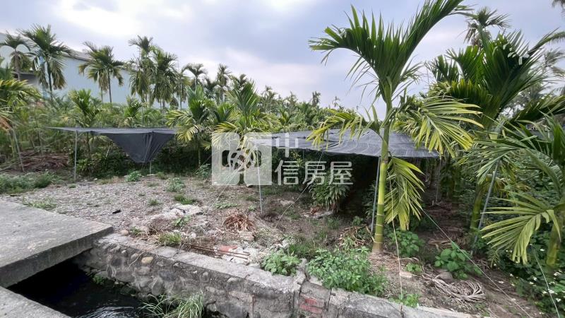 鹽埔仕絨段8米路旁方正農地*專約*房屋室內格局與周邊環境