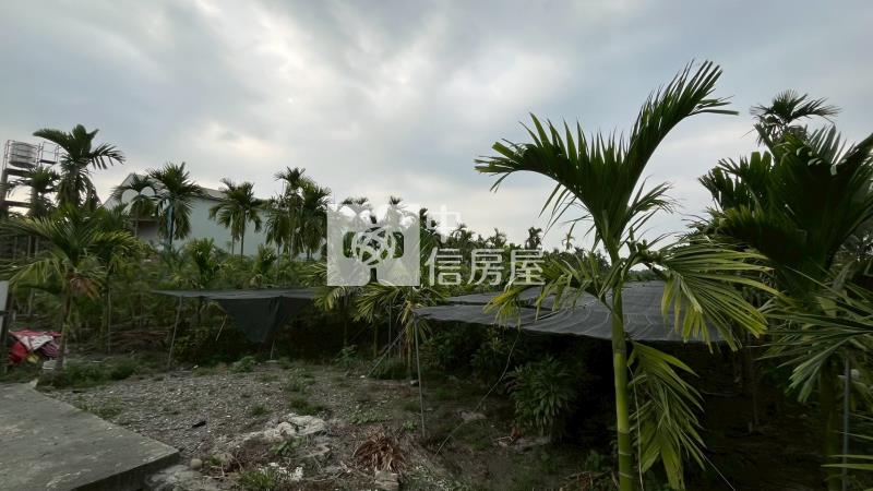 鹽埔仕絨段8米路旁方正農地*專約*