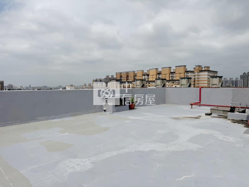 近體育園區.南亞大學.龍岡三房輪抽車