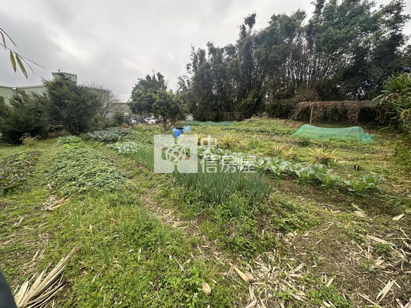 大溪一般農(附地上物)房屋室內格局與周邊環境