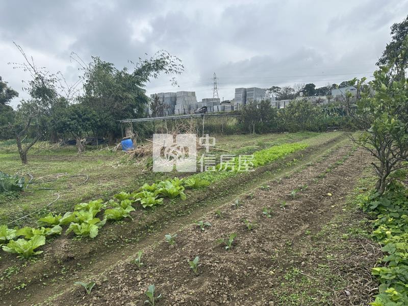 大溪一般農(附地上物)房屋室內格局與周邊環境