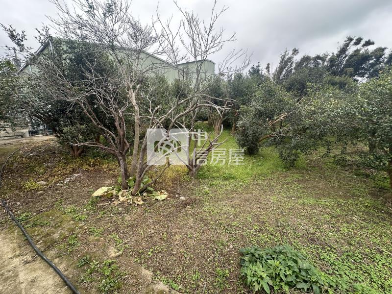 大溪一般農(附地上物)房屋室內格局與周邊環境