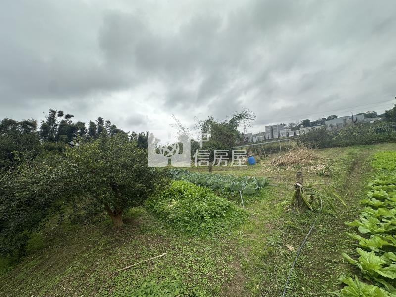 大溪一般農(附地上物)房屋室內格局與周邊環境