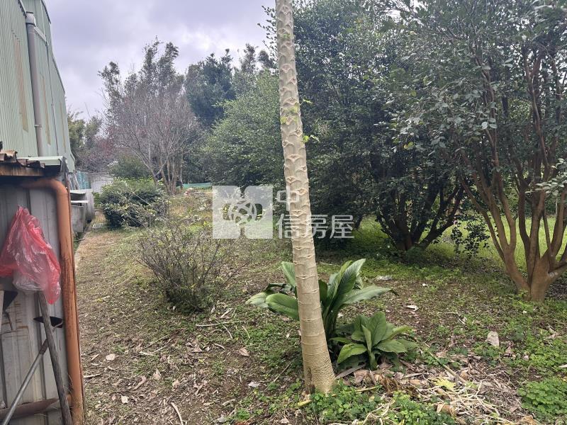 大溪一般農(附地上物)房屋室內格局與周邊環境