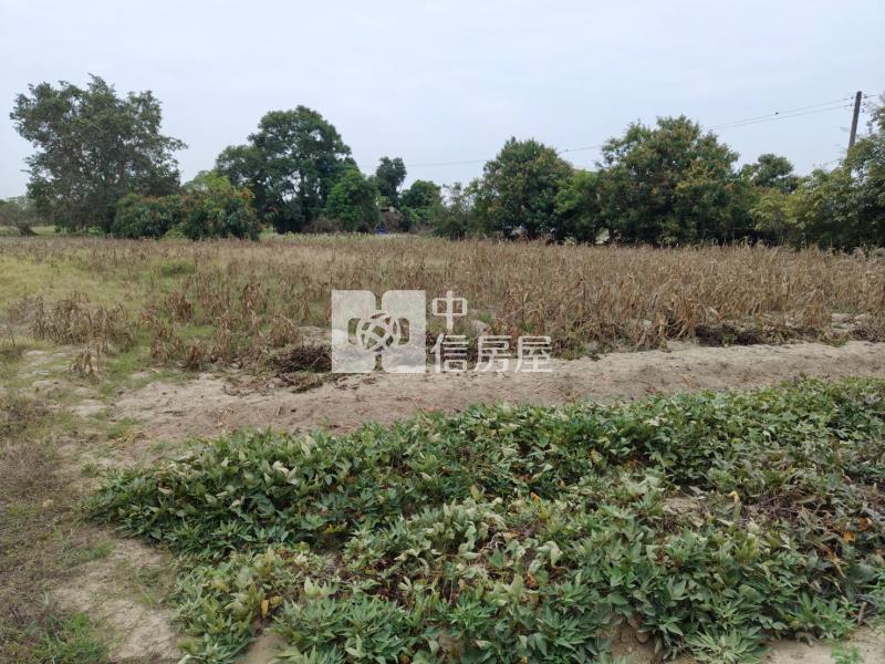 近新市產業園區低於實價旺財農地房屋室內格局與周邊環境