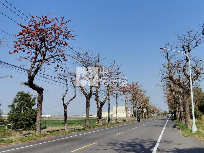 近新市產業園區低於實價旺財農地