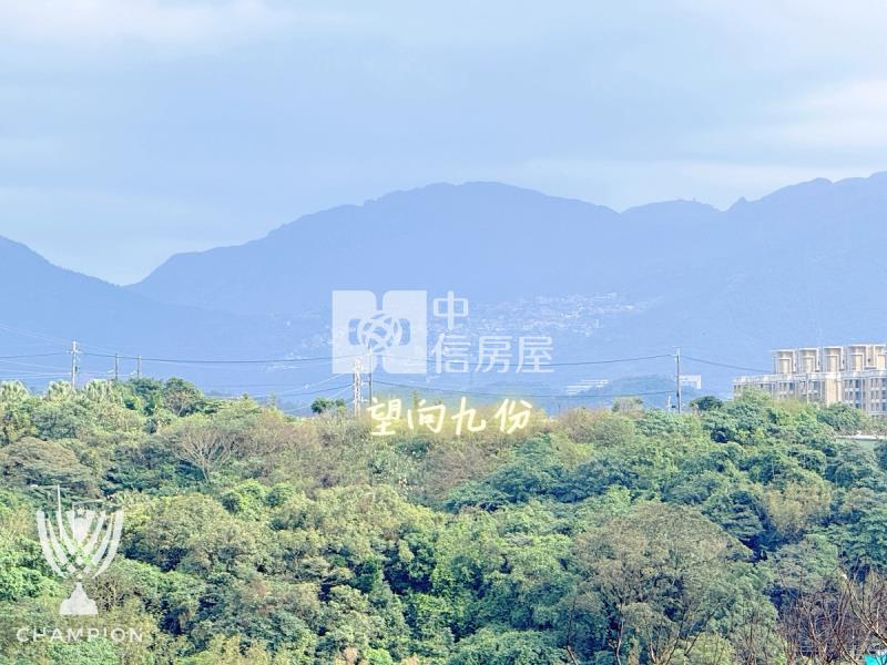 【冠軍】翠峰帝王莊園別墅房屋室內格局與周邊環境