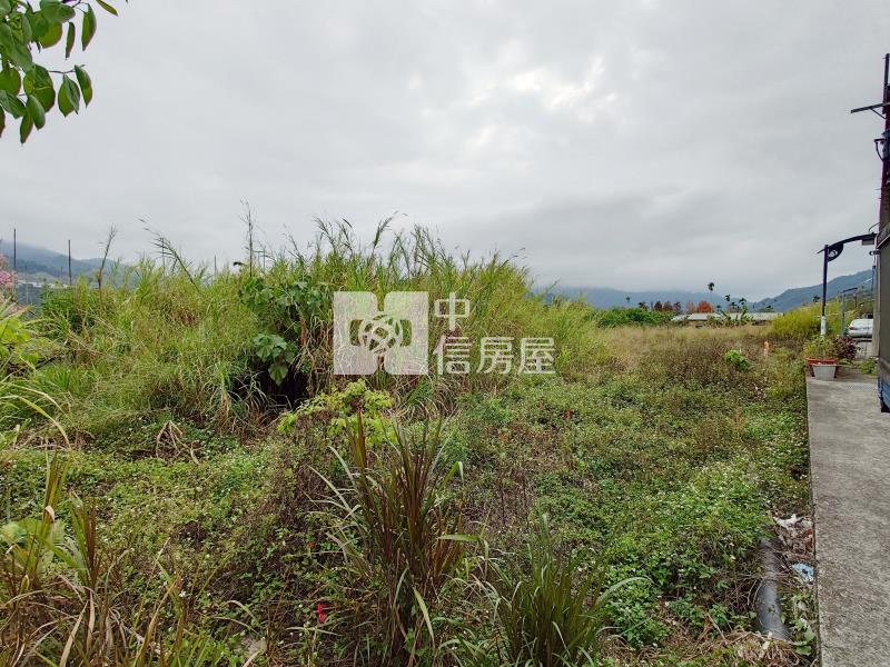 和平農會旁10米路建地房屋室內格局與周邊環境