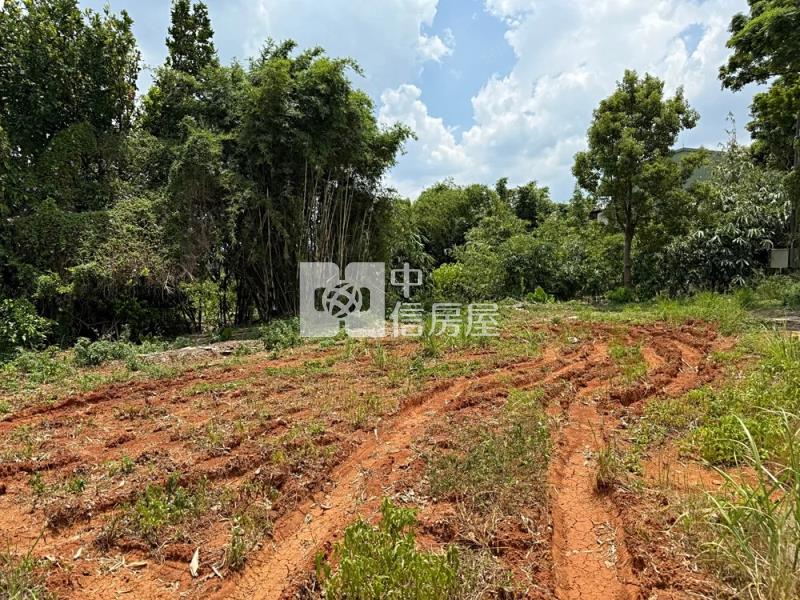 八德廣興路大面寬農地房屋室內格局與周邊環境