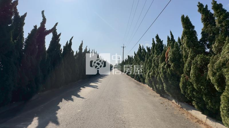 大園青埔高鐵旁莊園農舍房屋室內格局與周邊環境