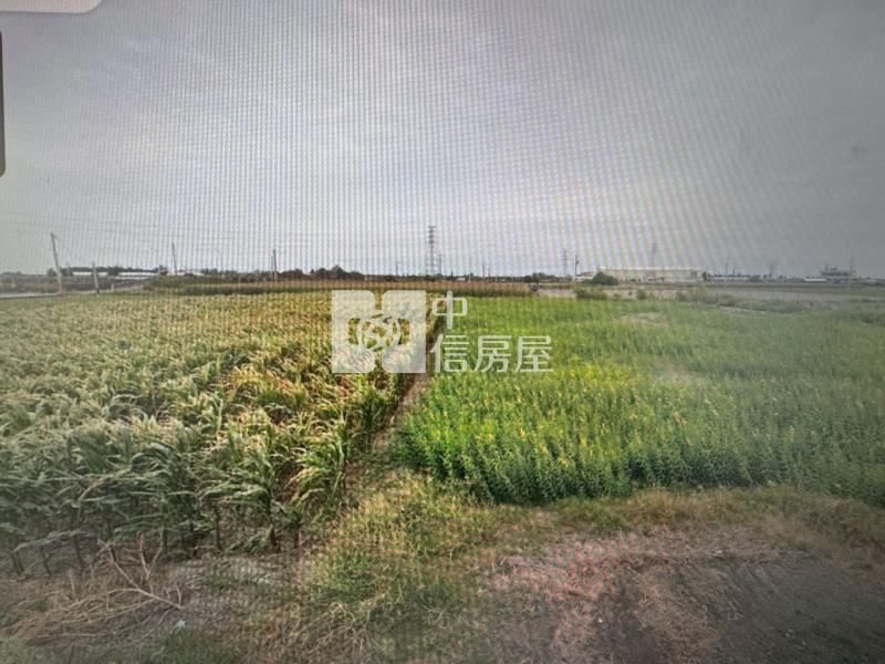 口湖林投段農地房屋室內格局與周邊環境