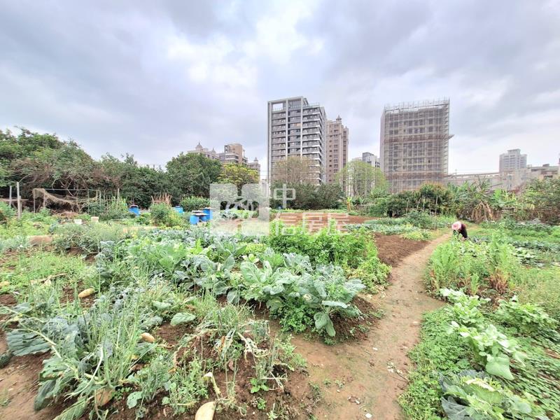 蘆竹大興路都計內持分土地(1)房屋室內格局與周邊環境