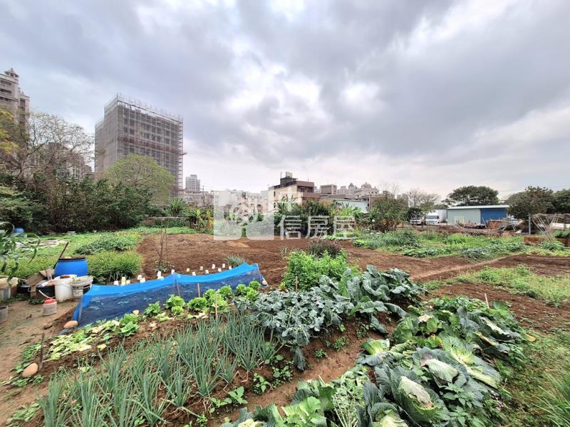 蘆竹大興路都計內持分土地(1)房屋室內格局與周邊環境