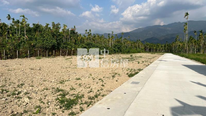 內埔鄉上龍泉段方正都農房屋室內格局與周邊環境