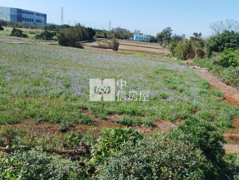 觀音富林段大地坪農地高價值農舍房屋室內格局與周邊環境