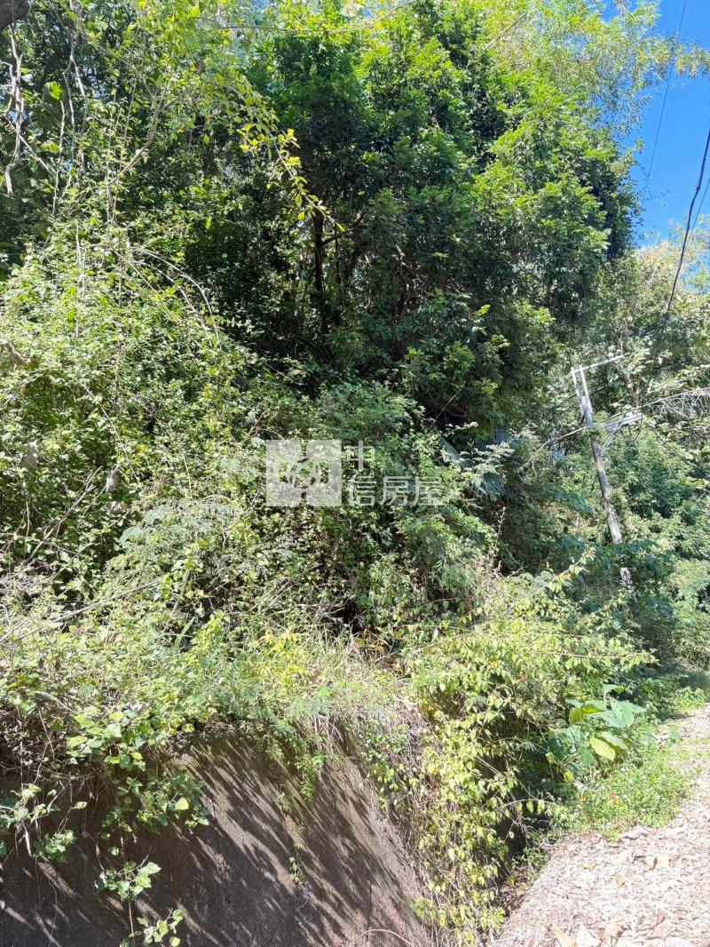 大內划算山坡農牧地