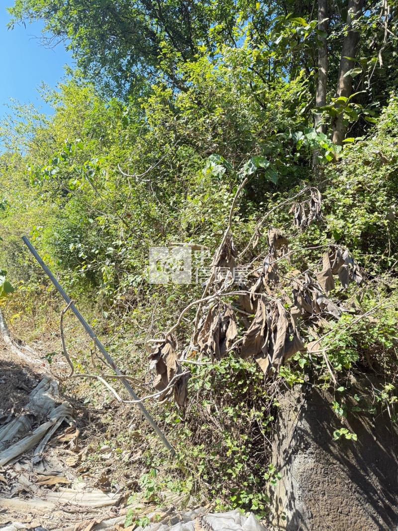 大內划算山坡農牧地房屋室內格局與周邊環境