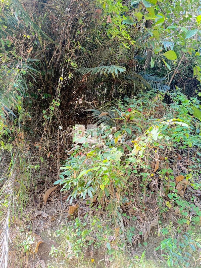 大內划算山坡農牧地房屋室內格局與周邊環境