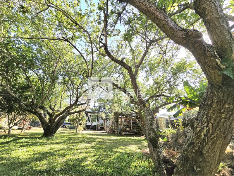 新社渡假休閒農地(專任)房屋室內格局與周邊環境