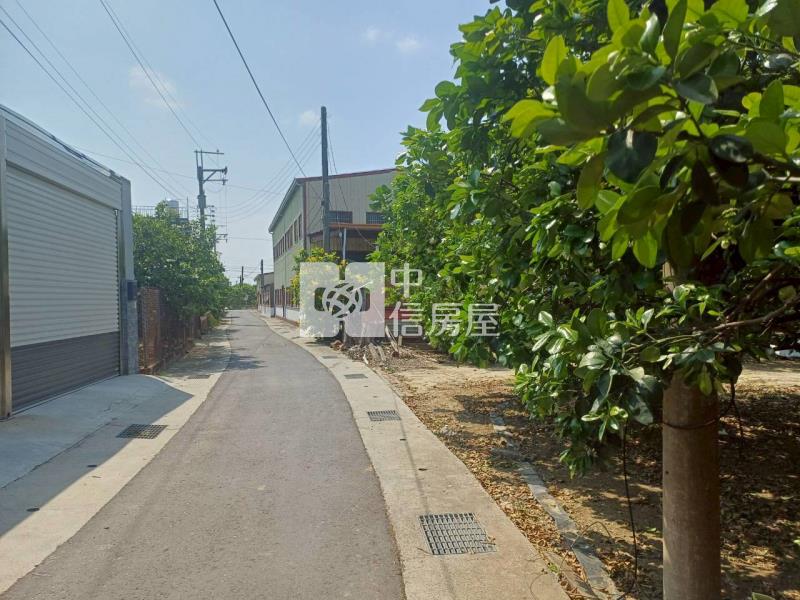 黎明中學雙面臨路柚子園房屋室內格局與周邊環境