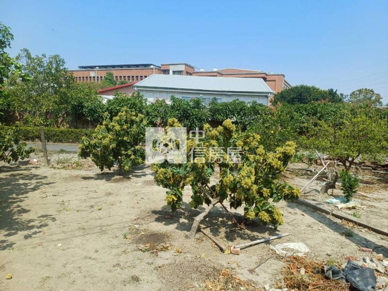 黎明中學雙面臨路柚子園房屋室內格局與周邊環境