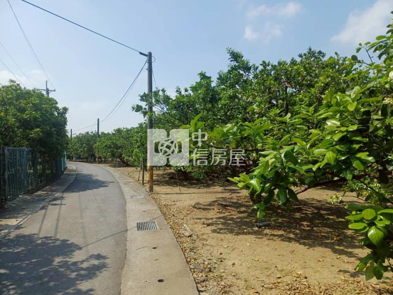 黎明中學雙面臨路柚子園房屋室內格局與周邊環境