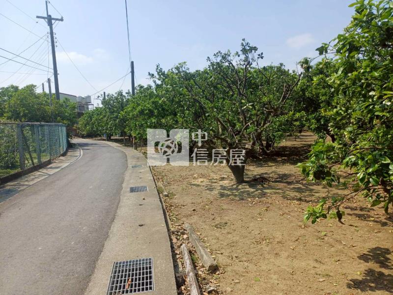 黎明中學雙面臨路柚子園房屋室內格局與周邊環境