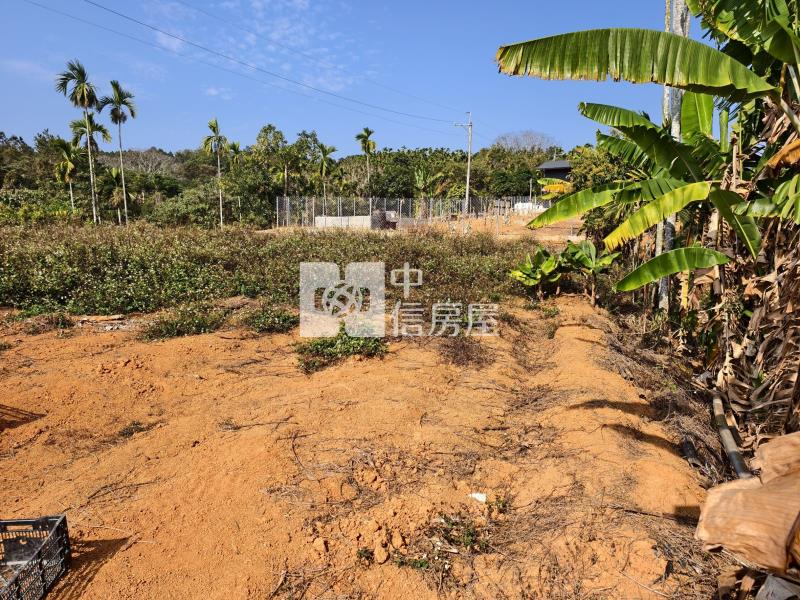 坪頂小農地房屋室內格局與周邊環境