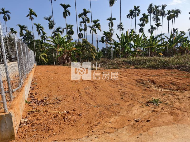 坪頂小農地房屋室內格局與周邊環境