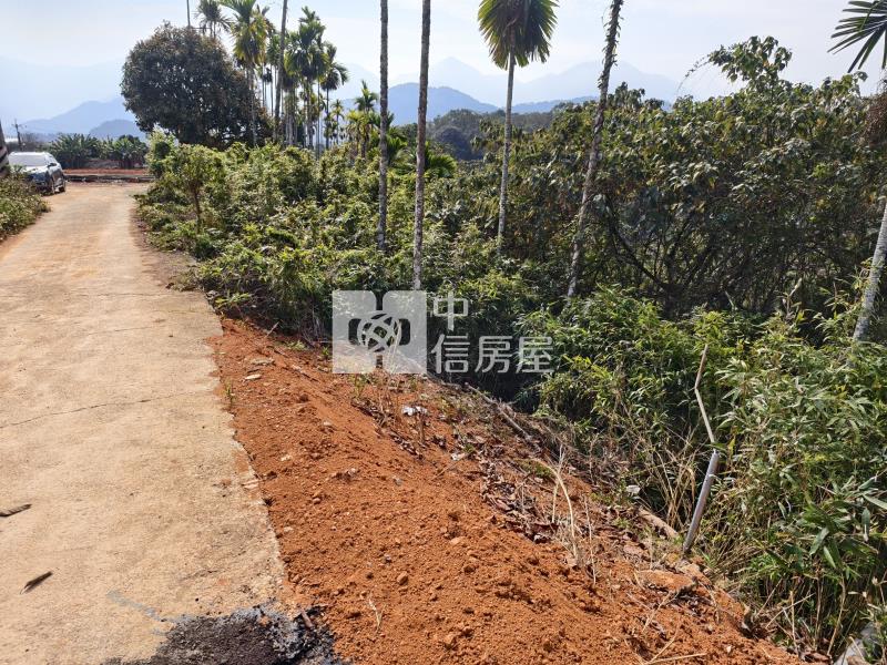 坪頂小農地房屋室內格局與周邊環境