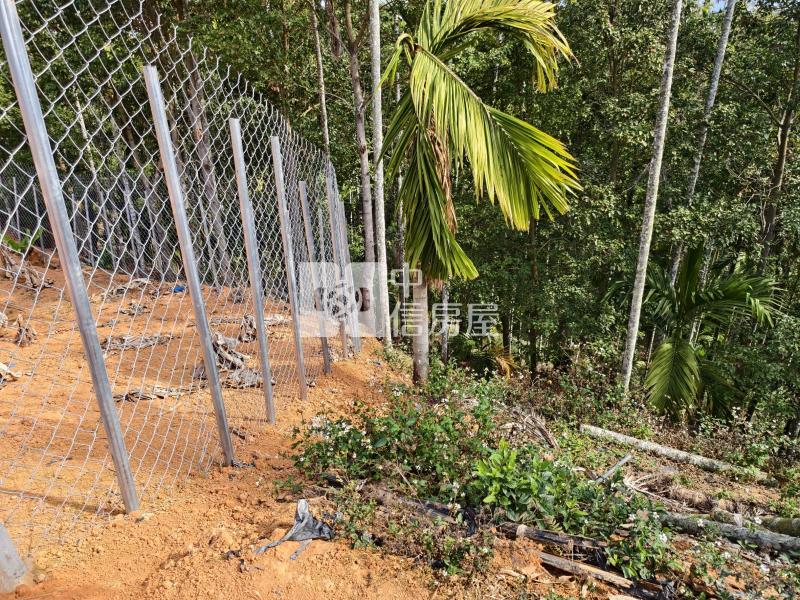 坪頂小農地房屋室內格局與周邊環境