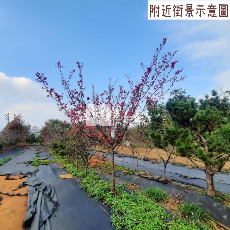 3S51楊梅土地房屋室內格局與周邊環境