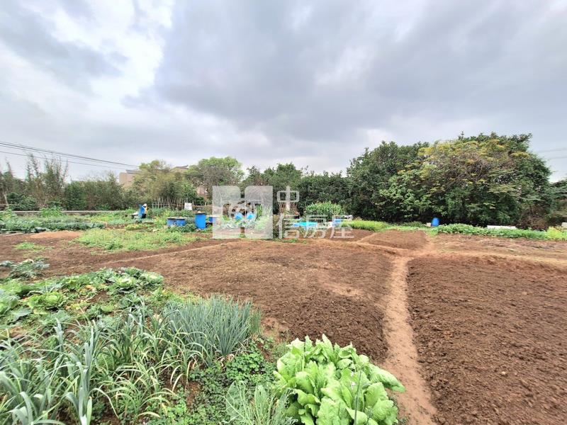 蘆竹大興路都計內持分土地(2)房屋室內格局與周邊環境