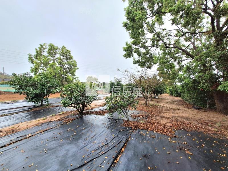 綠野仙蹤度假休閒農地房屋室內格局與周邊環境