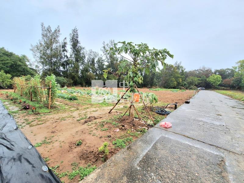 綠野仙蹤度假休閒農地房屋室內格局與周邊環境