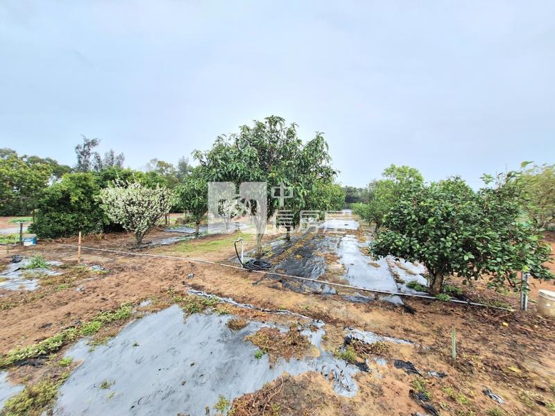 綠野仙蹤度假休閒農地房屋室內格局與周邊環境