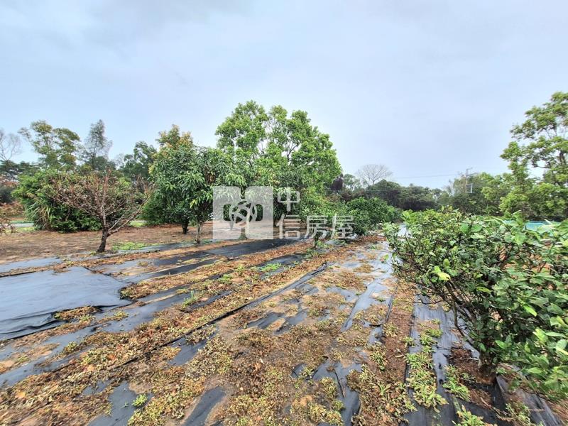 綠野仙蹤度假休閒農地房屋室內格局與周邊環境