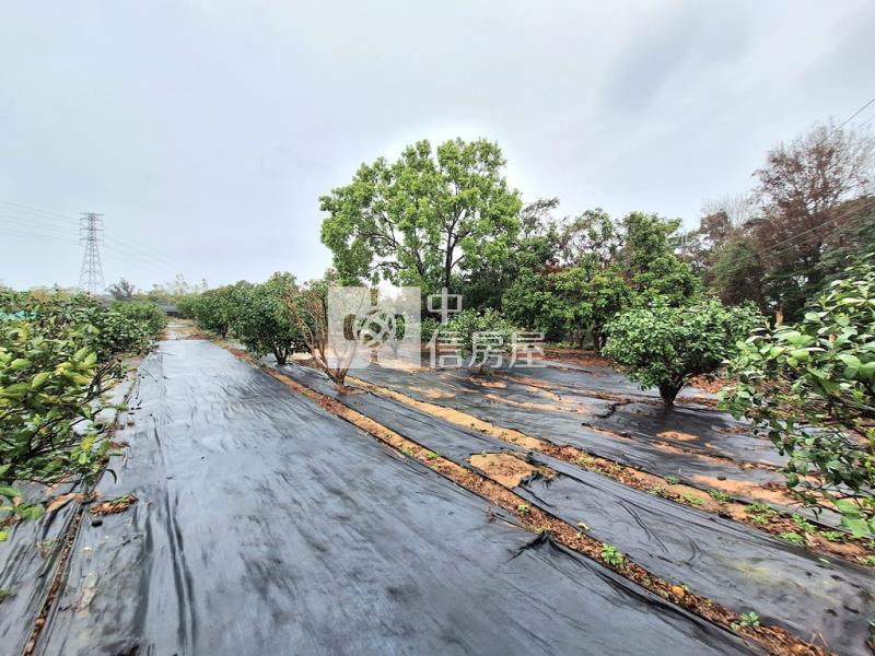 綠野仙蹤度假休閒農地房屋室內格局與周邊環境