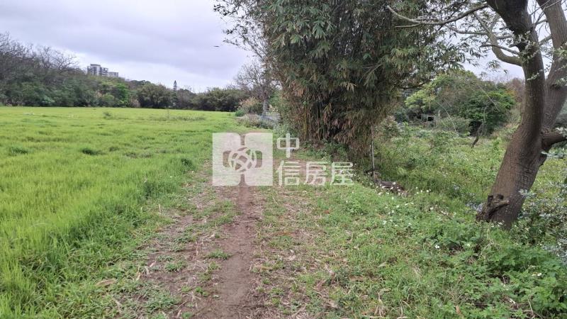 航空城門票.大園客運金盈地(2)房屋室內格局與周邊環境