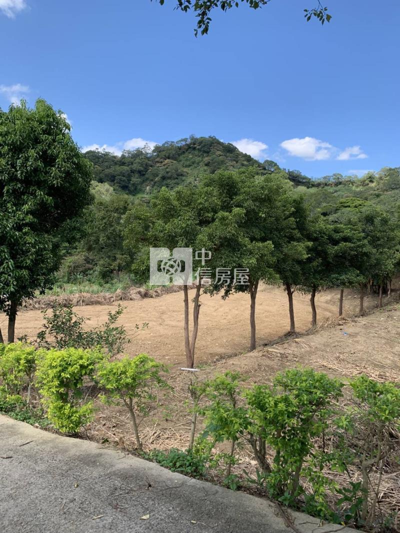 新埔鎮山坡保育區農牧用地加林地房屋室內格局與周邊環境