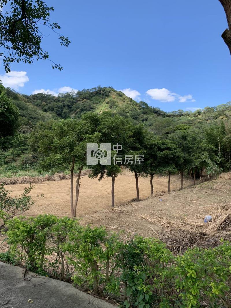 新埔鎮山坡保育區農牧用地加林地房屋室內格局與周邊環境