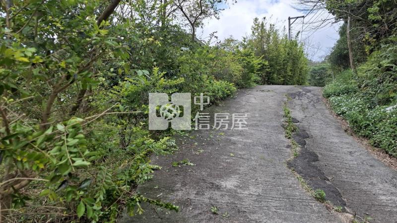 新埔鎮山坡保育區農牧用地加林地房屋室內格局與周邊環境