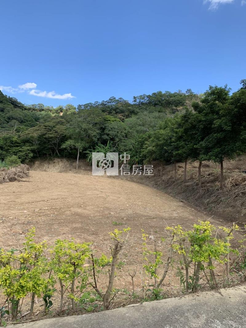 新埔鎮山坡保育區農牧用地加林地房屋室內格局與周邊環境