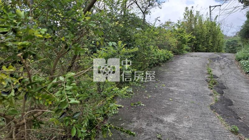 新埔鎮山坡保育區農牧用地加林地房屋室內格局與周邊環境