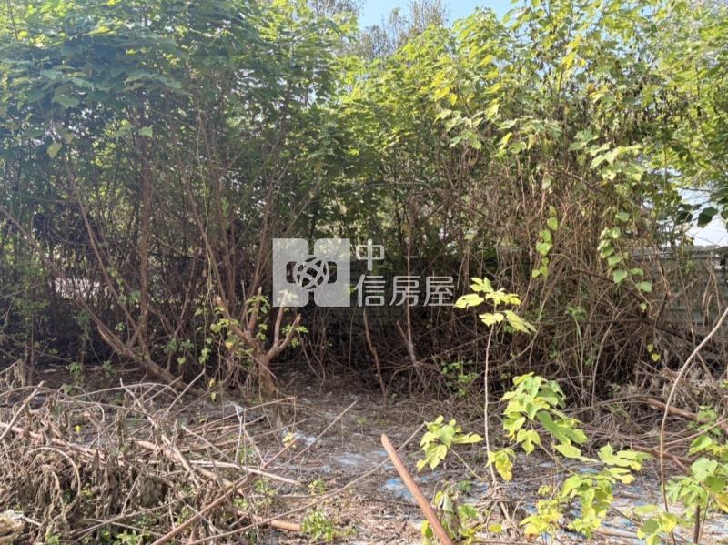 屏東土地《內埔龍泉新生國小建地》房屋室內格局與周邊環境